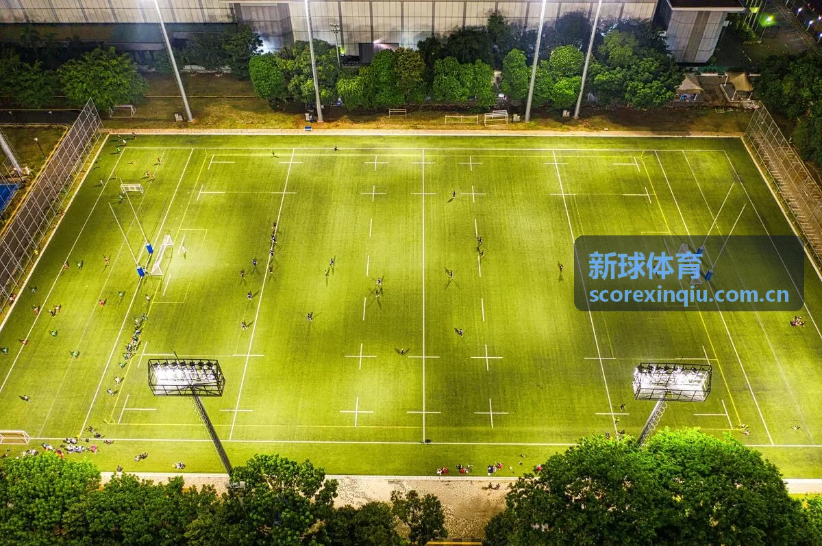 皇家社会 - 新球体育西甲赛事